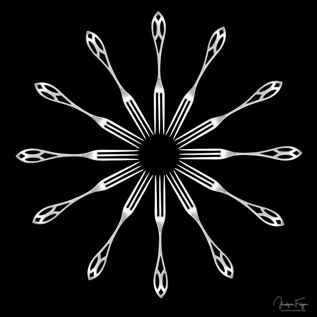 Les 12 vies de la petite cuillère d'argent