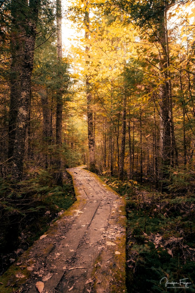 Parc éco Laurentides
