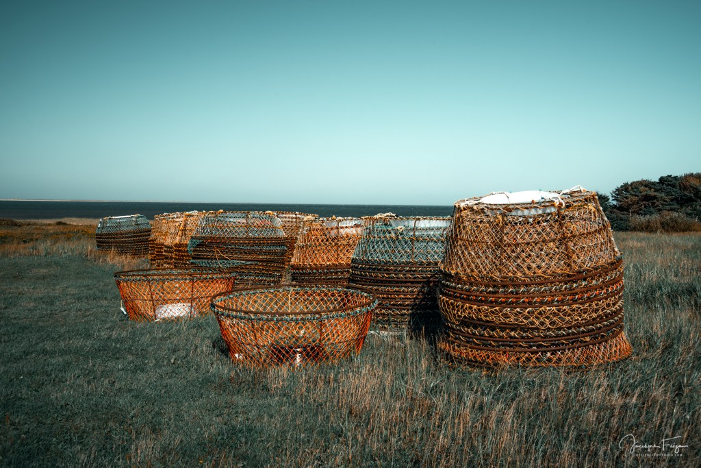 Casiers à crabe