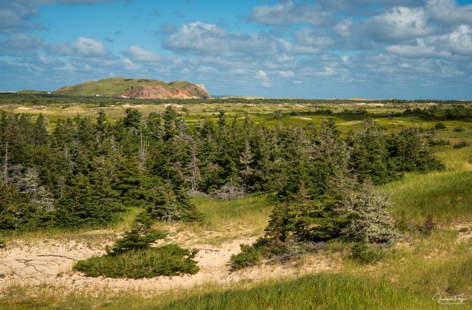 Réserve nationale de faune de la Pointe-de-l’Est