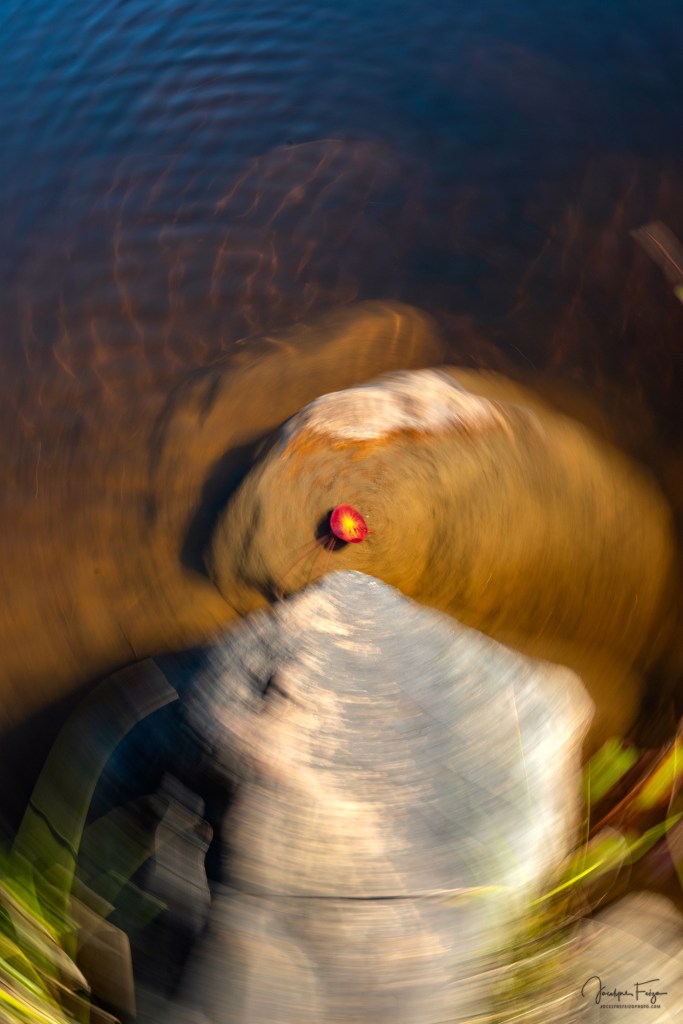 Le nombril de l'univers